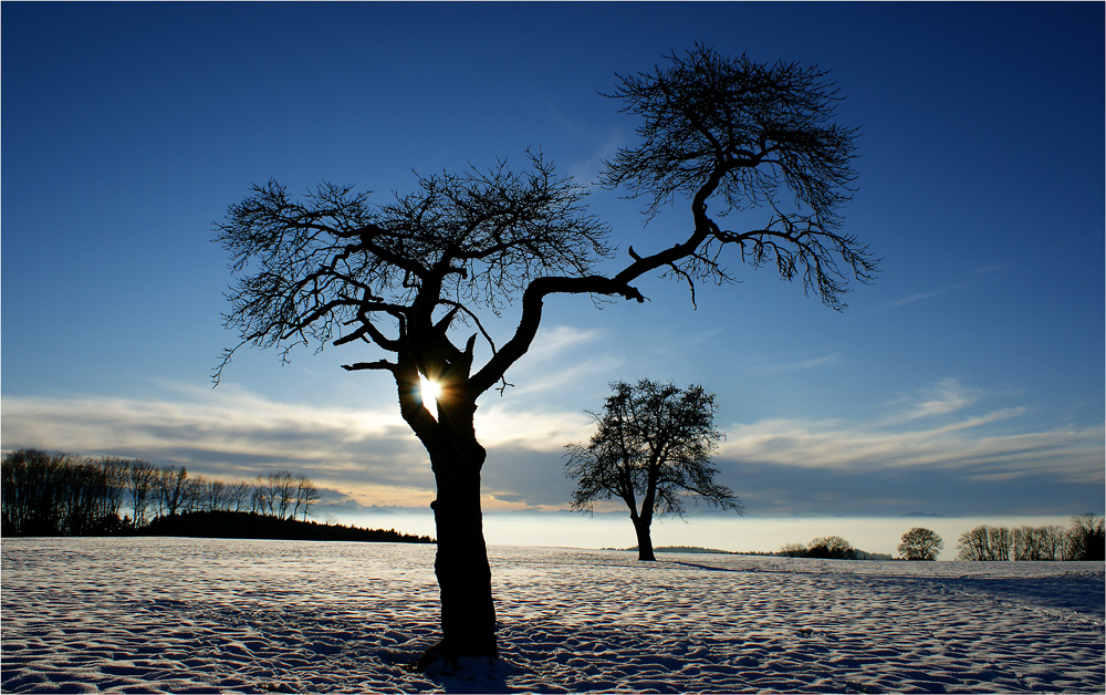 Nach dem Sturm ist vor dem Sturm