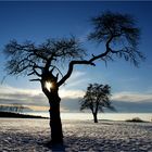 Nach dem Sturm ist vor dem Sturm