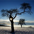 Nach dem Sturm ist vor dem Sturm