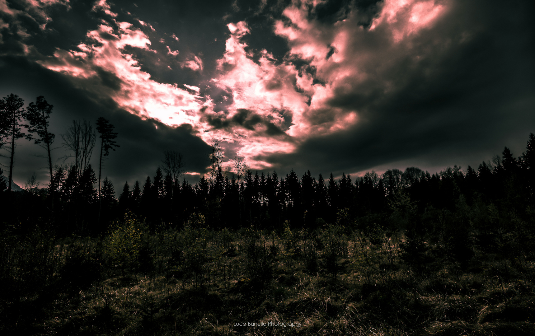 Nach dem Sturm kommt die Sonne