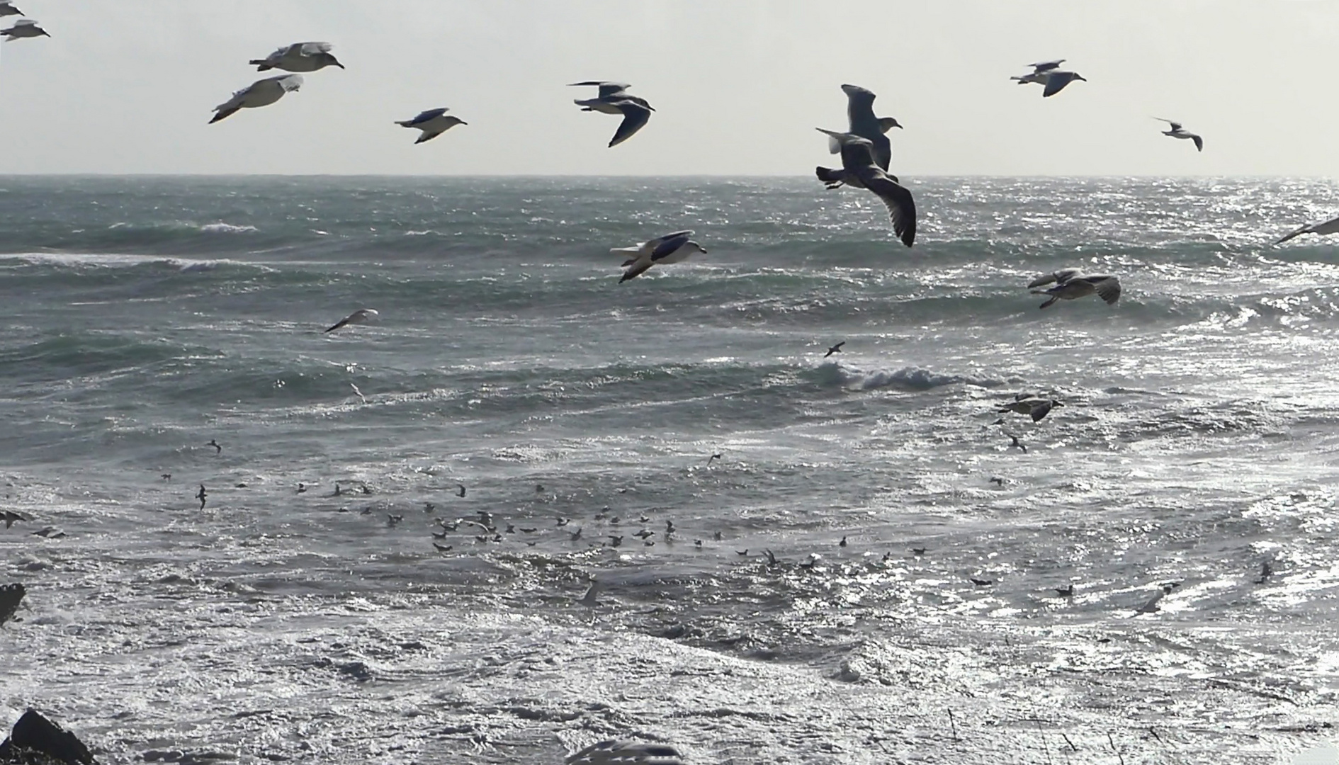 Nach dem Tempête ist vor dem Tempête