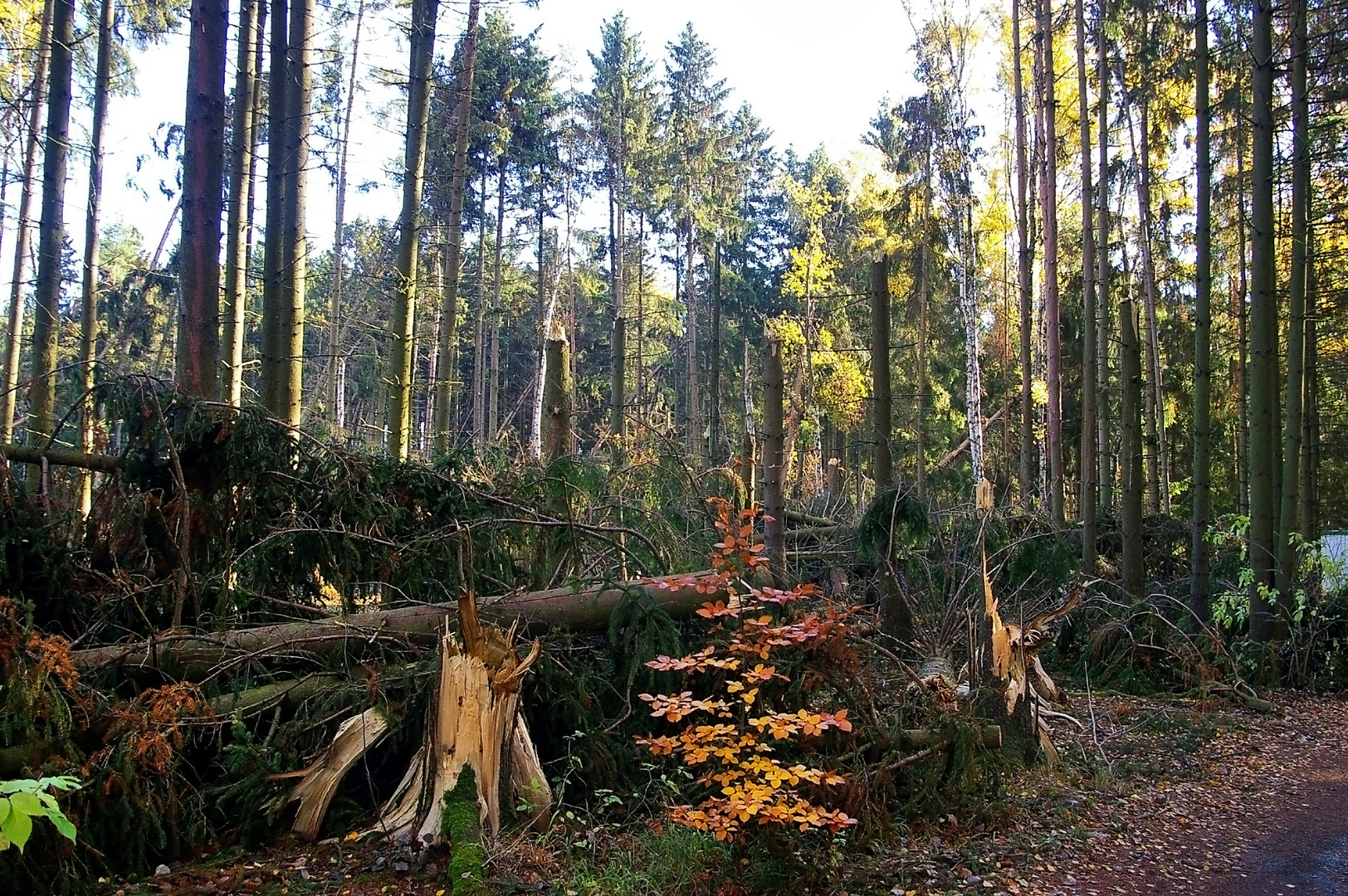 Nach dem Tornado in Dreba