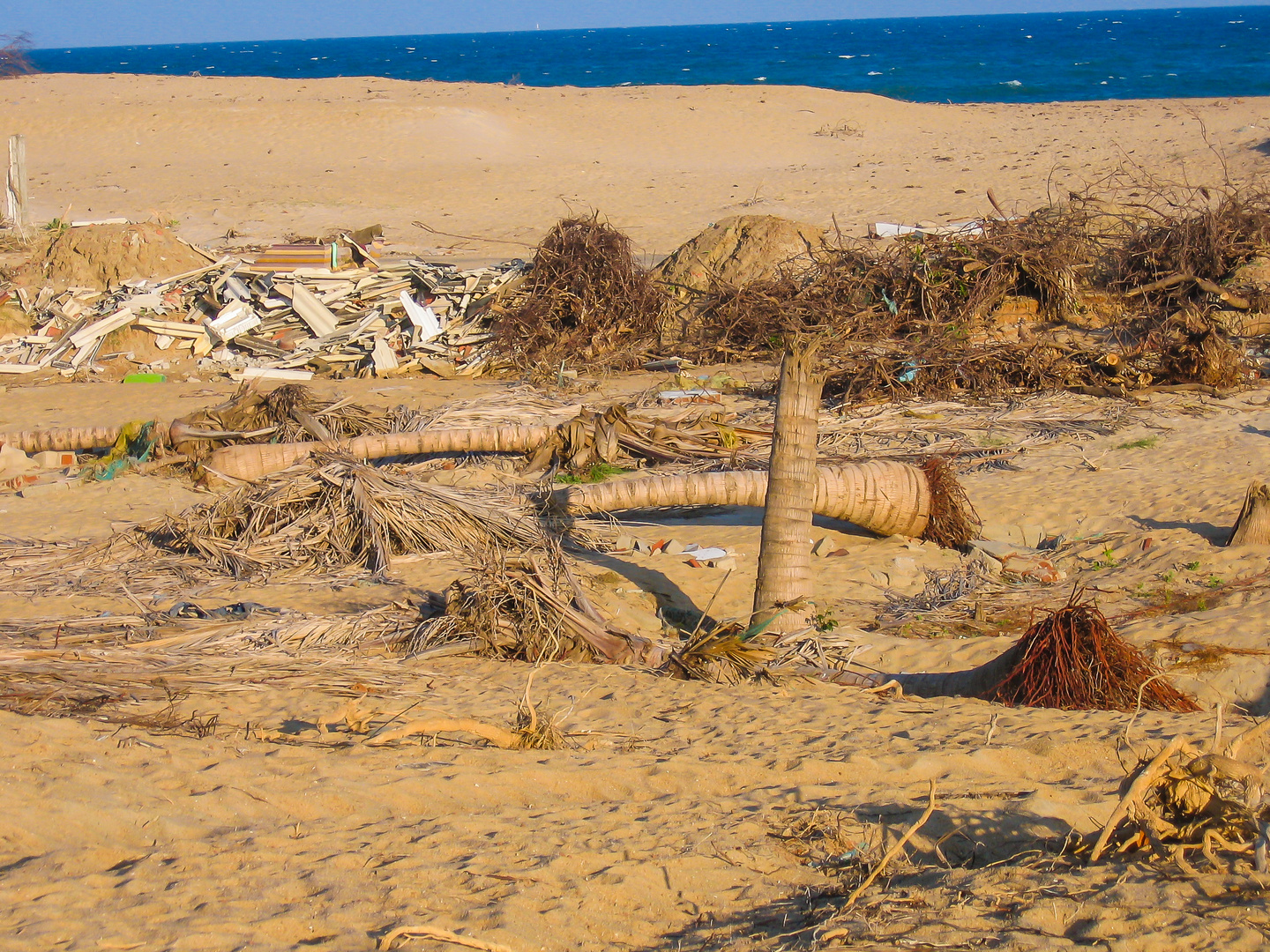 Nach dem Tsunami am Strand