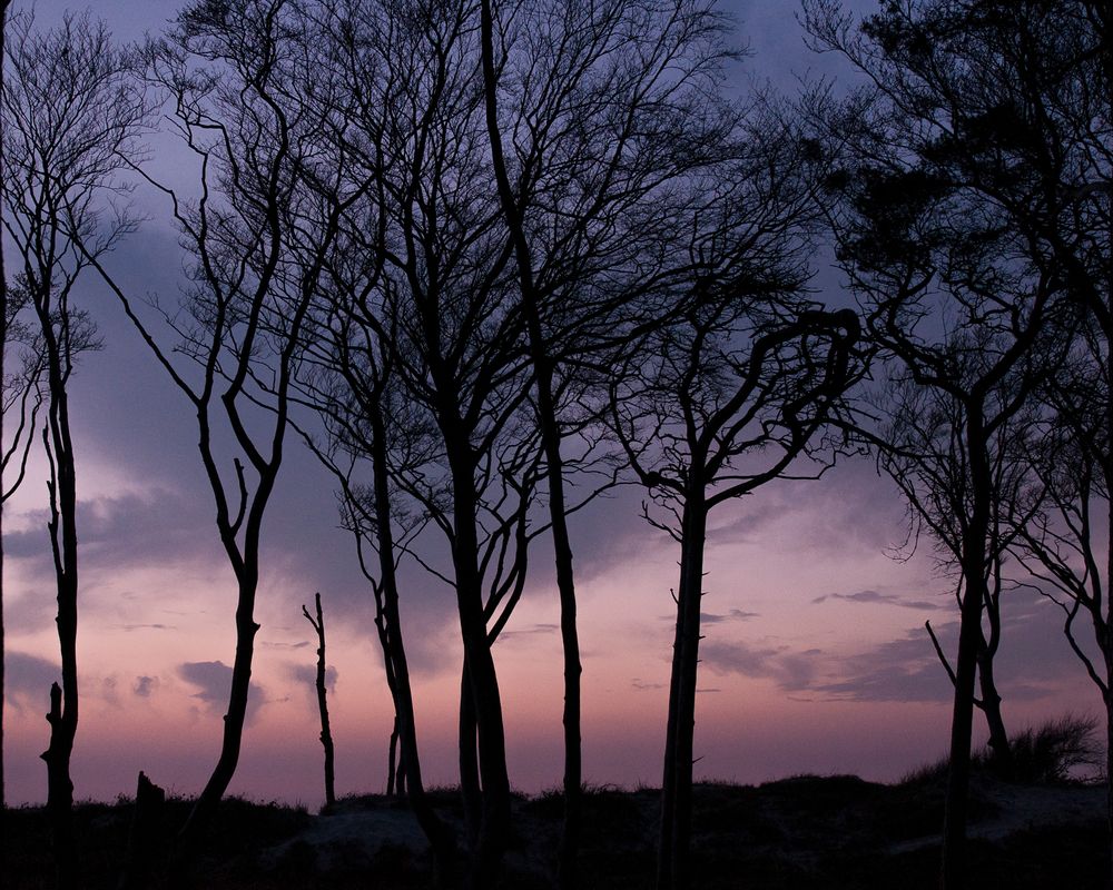 Nach dem Untergang vor der blauen Stunde