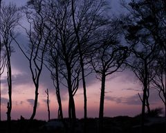 Nach dem Untergang vor der blauen Stunde