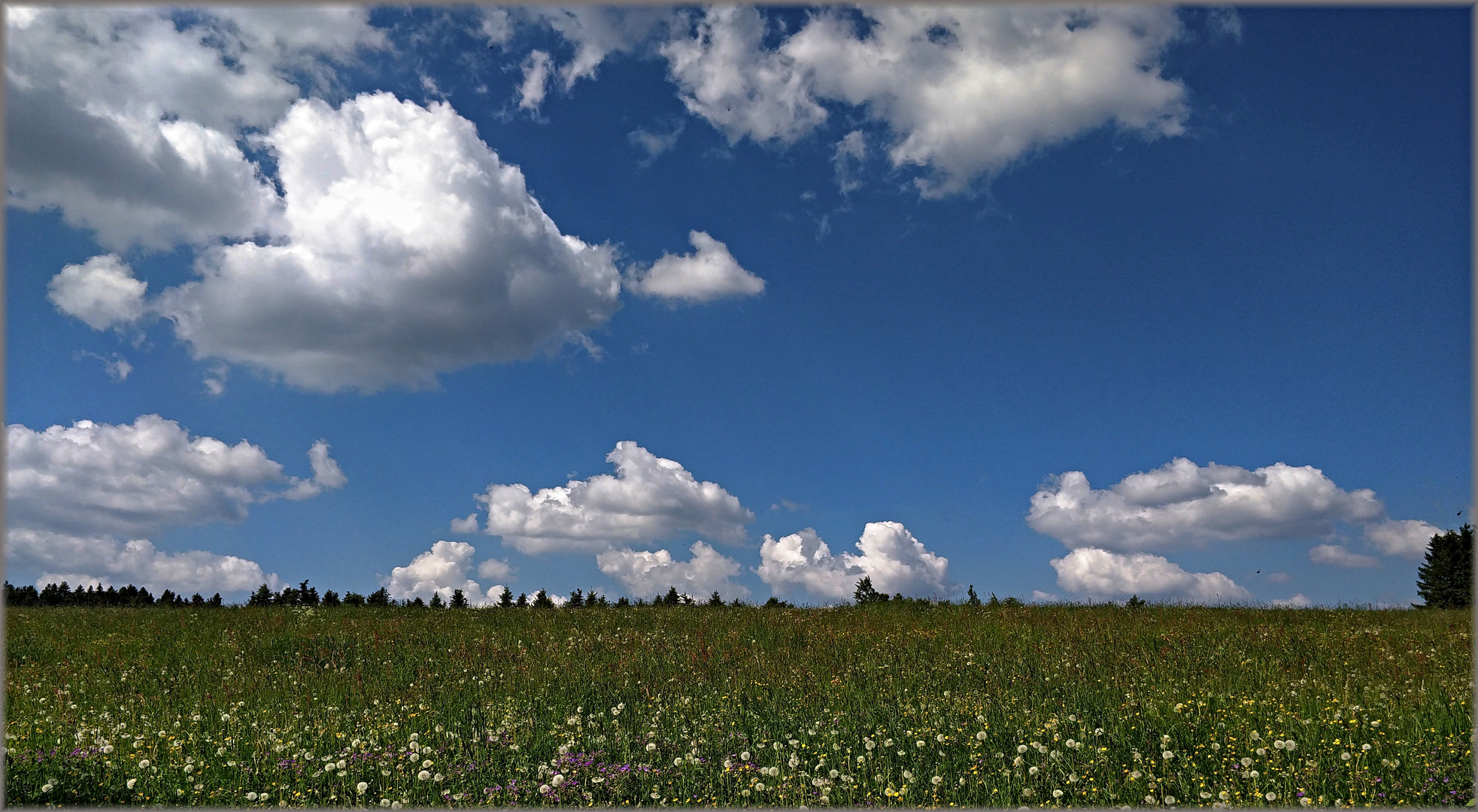 Nach dem Unwetter Foto & Bild | wolken, frühling, himmel ...