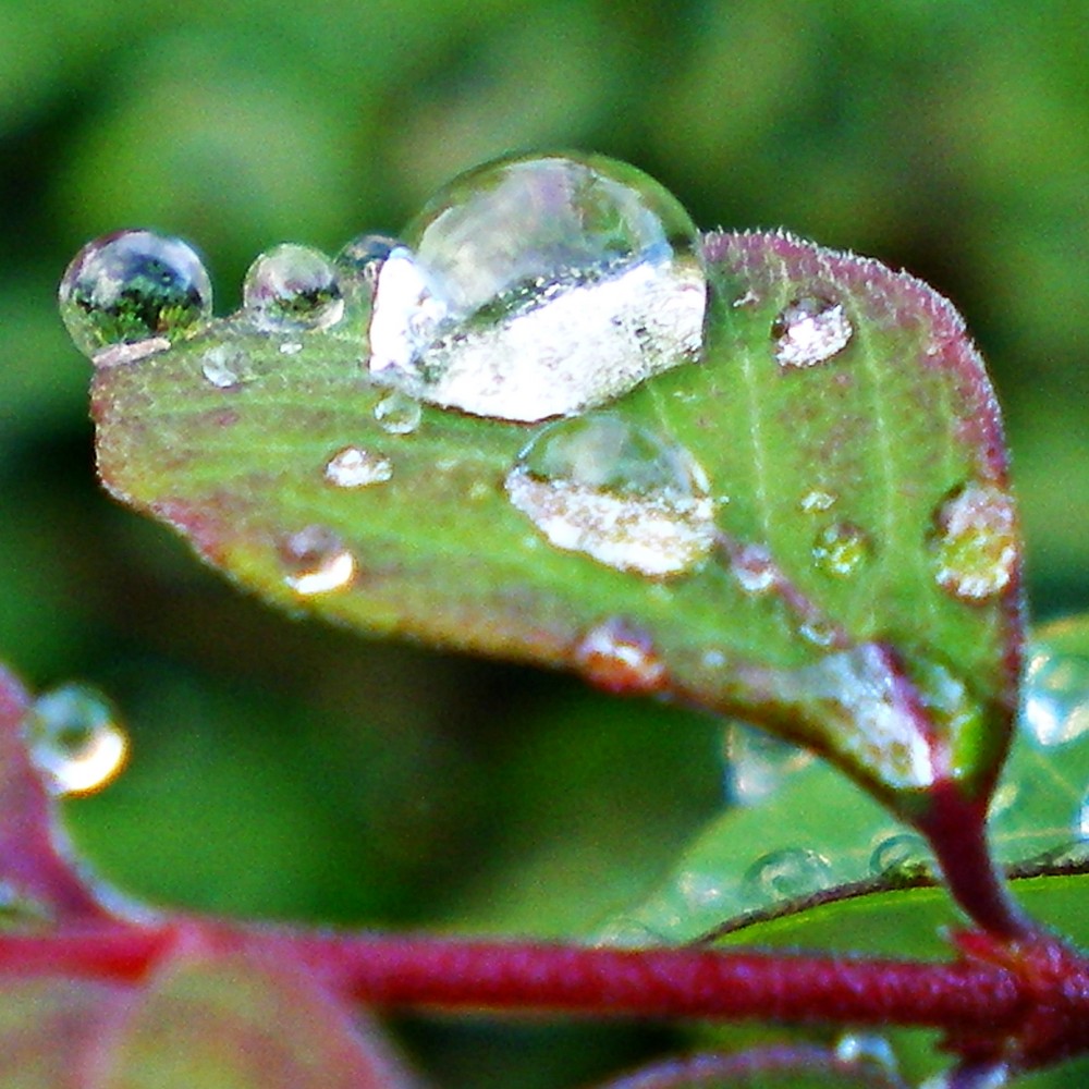 Nach dem Unwetter !