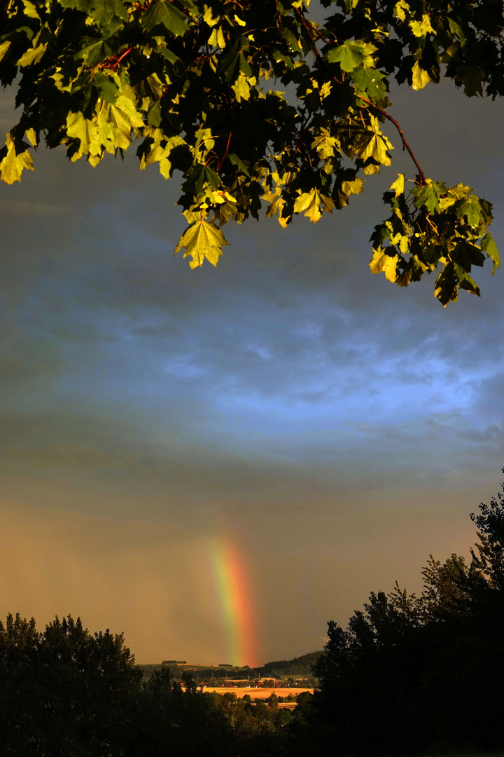 nach dem Unwetter