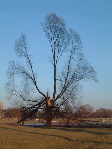 ...nach dem Unwetter...