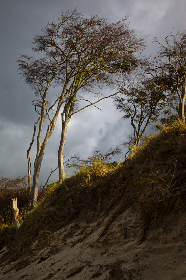 ...nach dem Unwetter