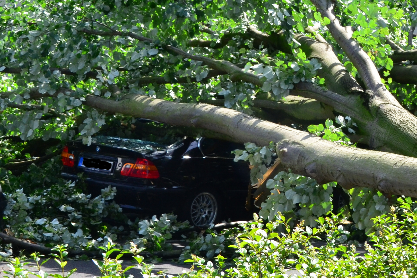 ... Nach dem Unwetter ......---