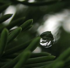 Nach dem Unwetter gestern...