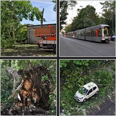 Nach dem Unwetter über Düsseldorf II