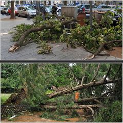 Nach dem Unwetter über Düsseldorf III