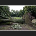 Nach dem Unwetter über Düsseldorf V