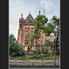 Nach dem Unwetter über Düsseldorf VII