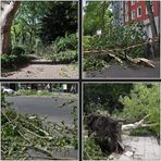 Nach dem Unwetter über Düsseldorf VIII