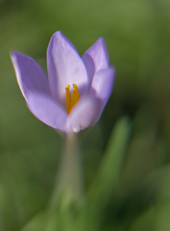 Nach dem Winter Sonne tanken ...