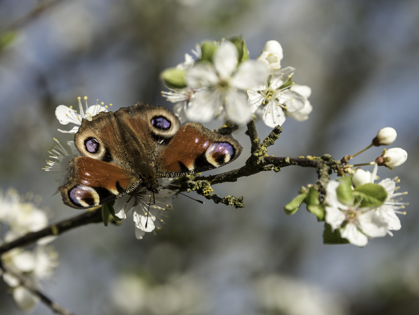 Nach dem Winterschlaf