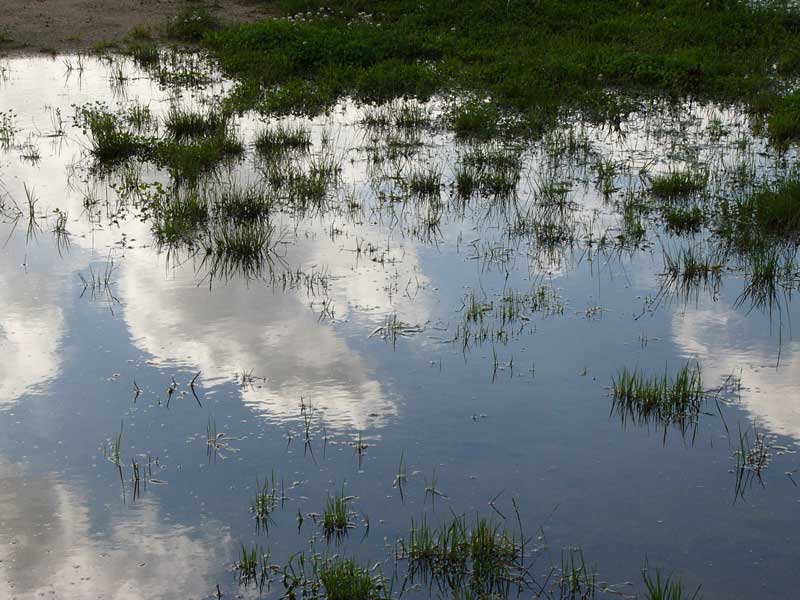 Nach dem Wolkenbruch