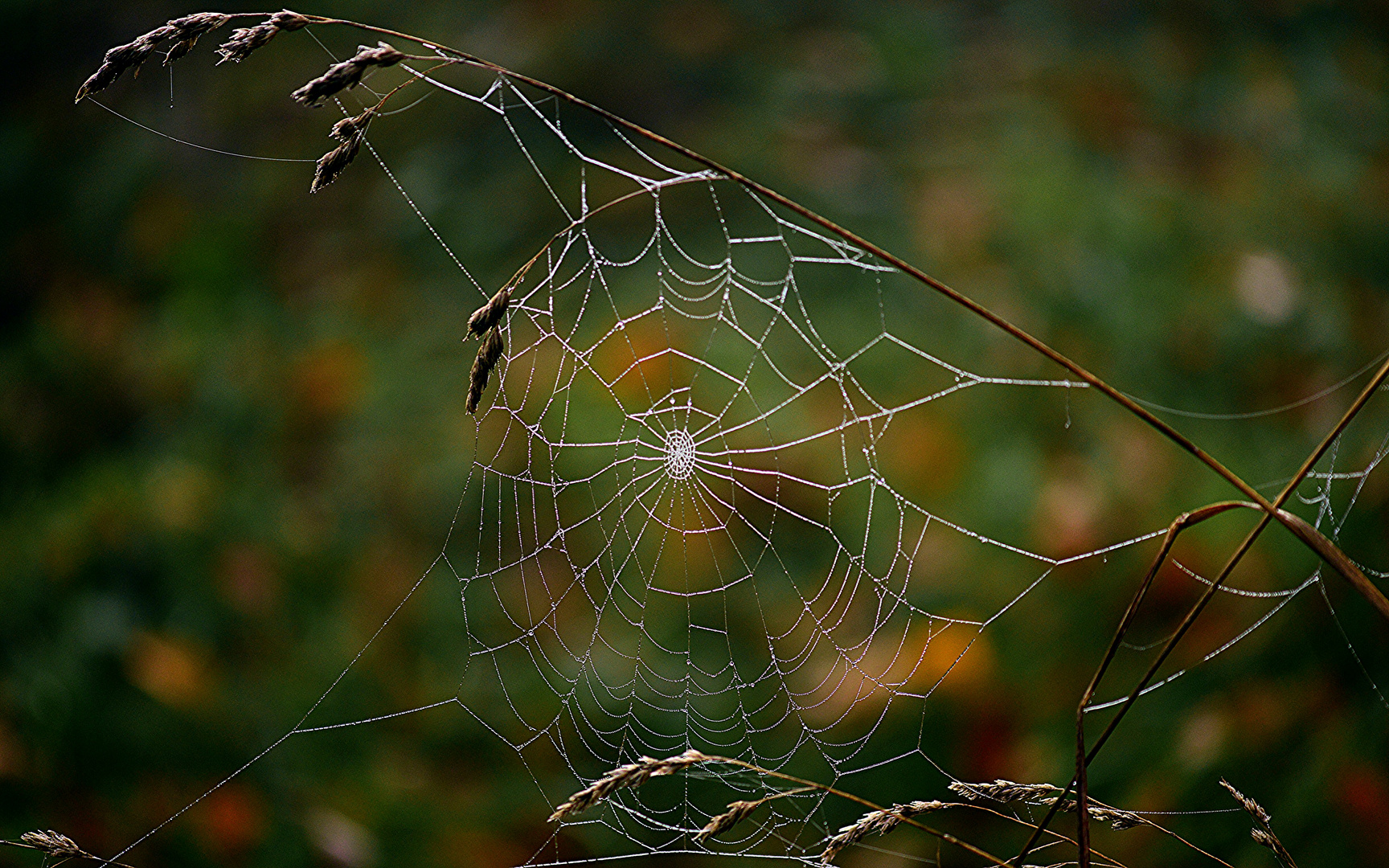 Nach den Nebel fotografiert