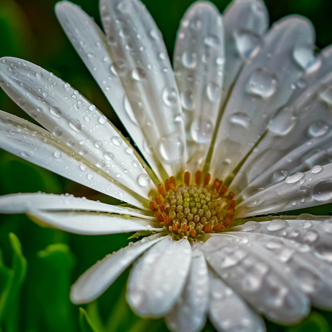 Nach den Regen