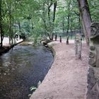 nach der Brücke im Prießnitzgrund