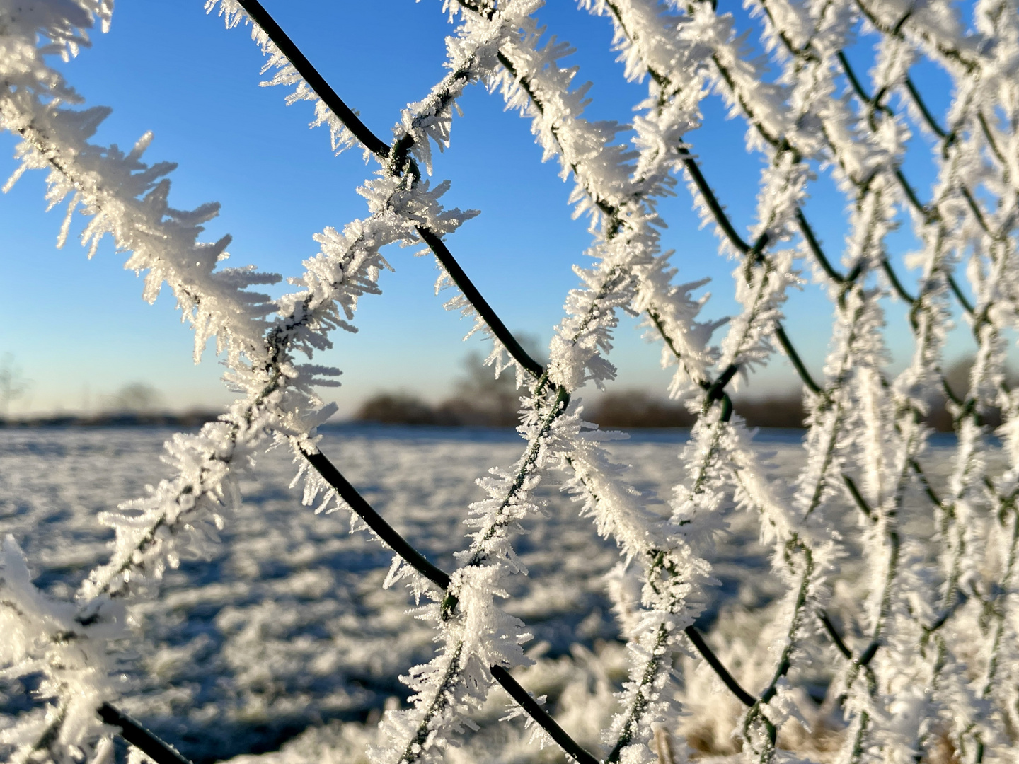 Nach der eiskalten Nacht