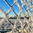 Nach der eiskalten Nacht