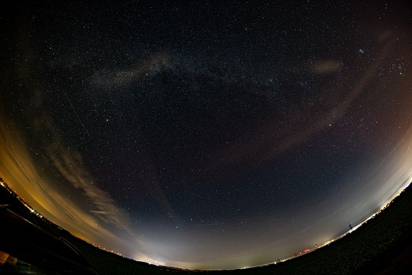 Nach der erfolglosen Zitronensuche...