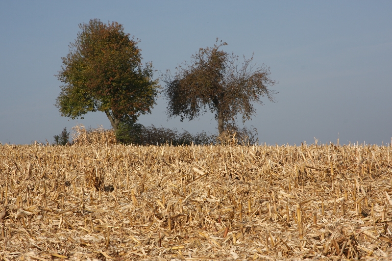 Nach der Ernte