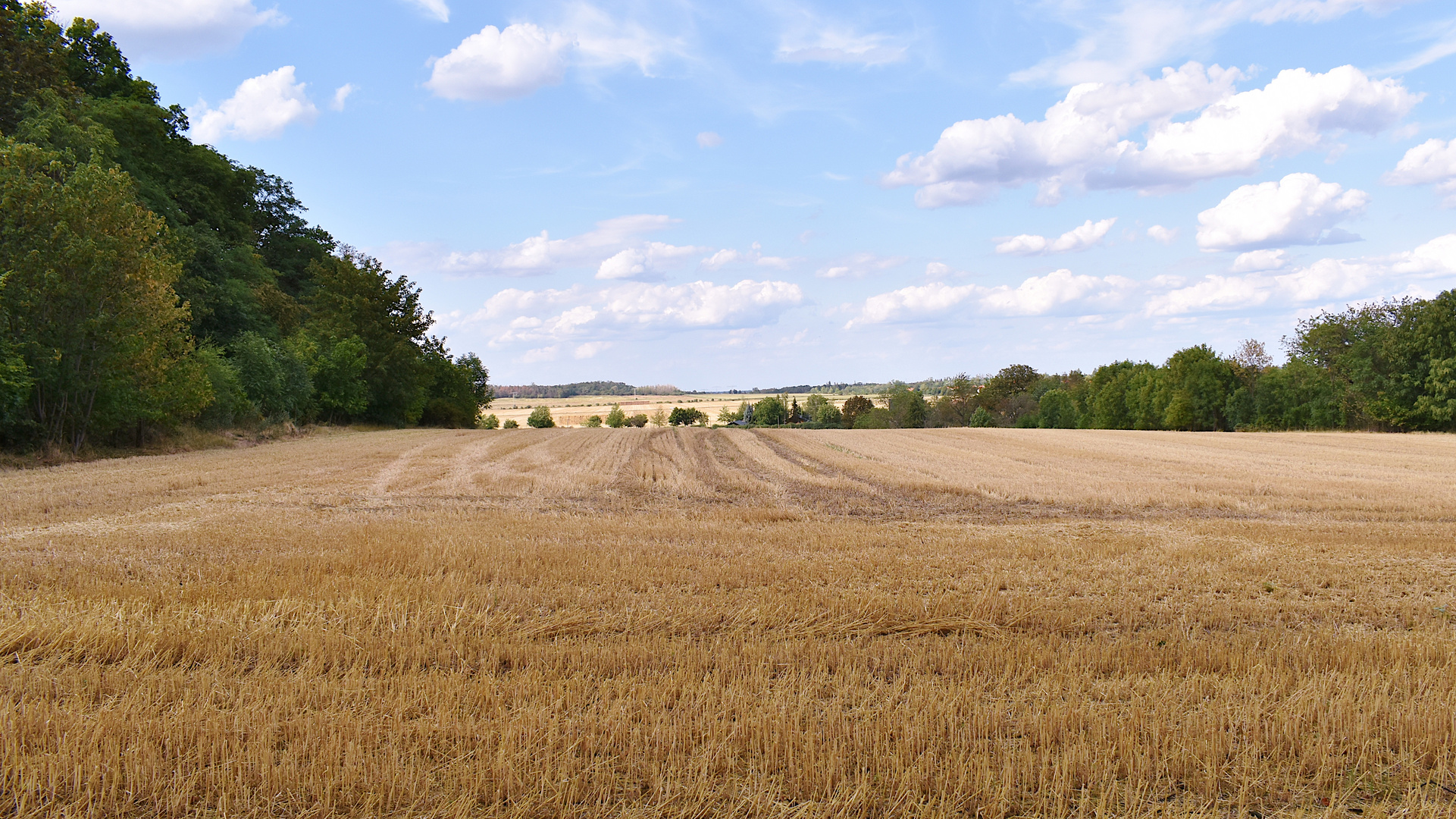 NACH DER ERNTE