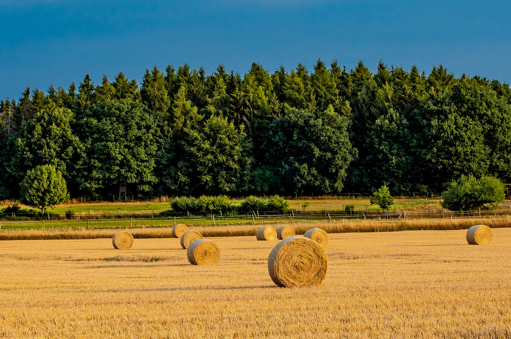 Nach der Ernte (1)