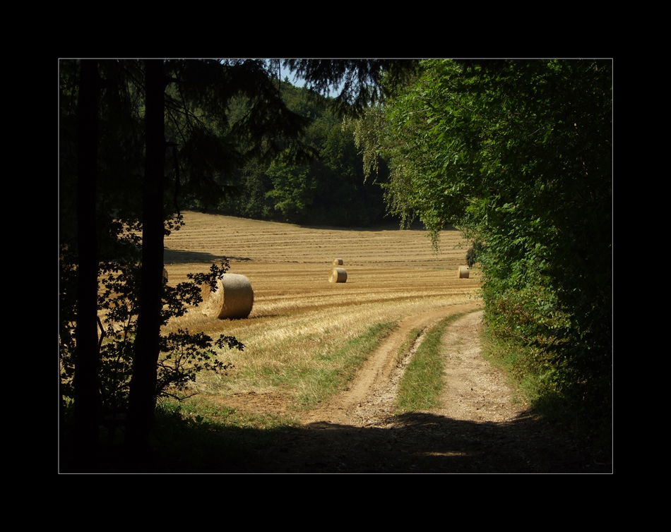 Nach der Ernte