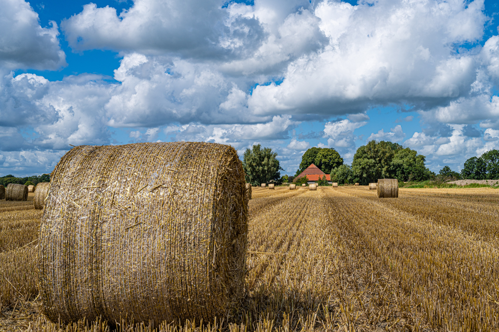 Nach der Ernte