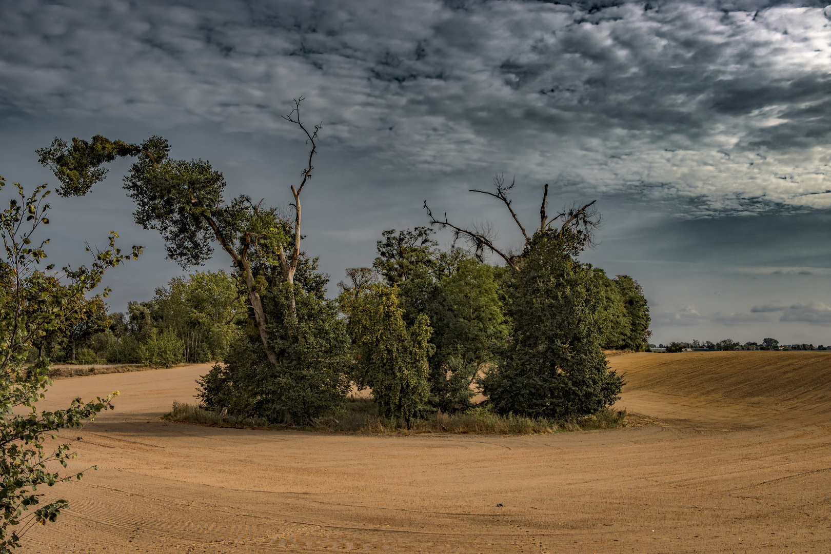 Nach der Ernte ...