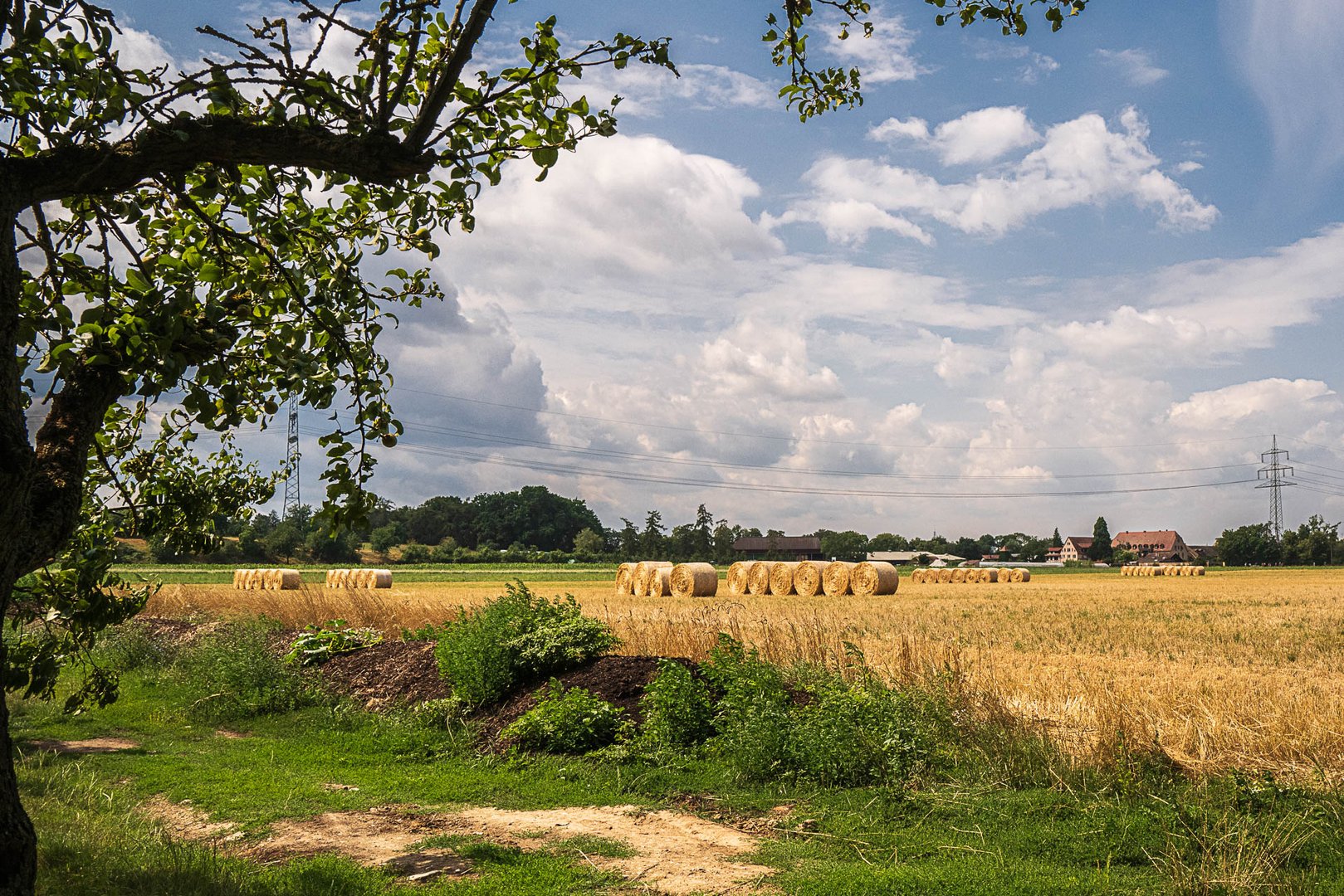 Nach der Ernte