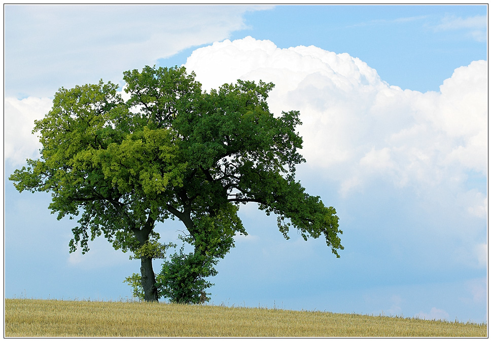 Nach der Ernte