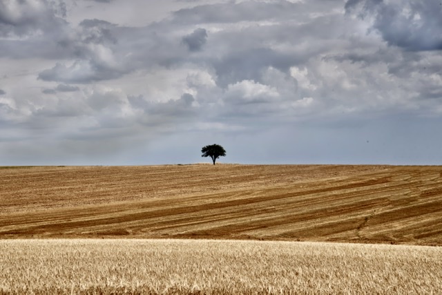 Nach der Ernte