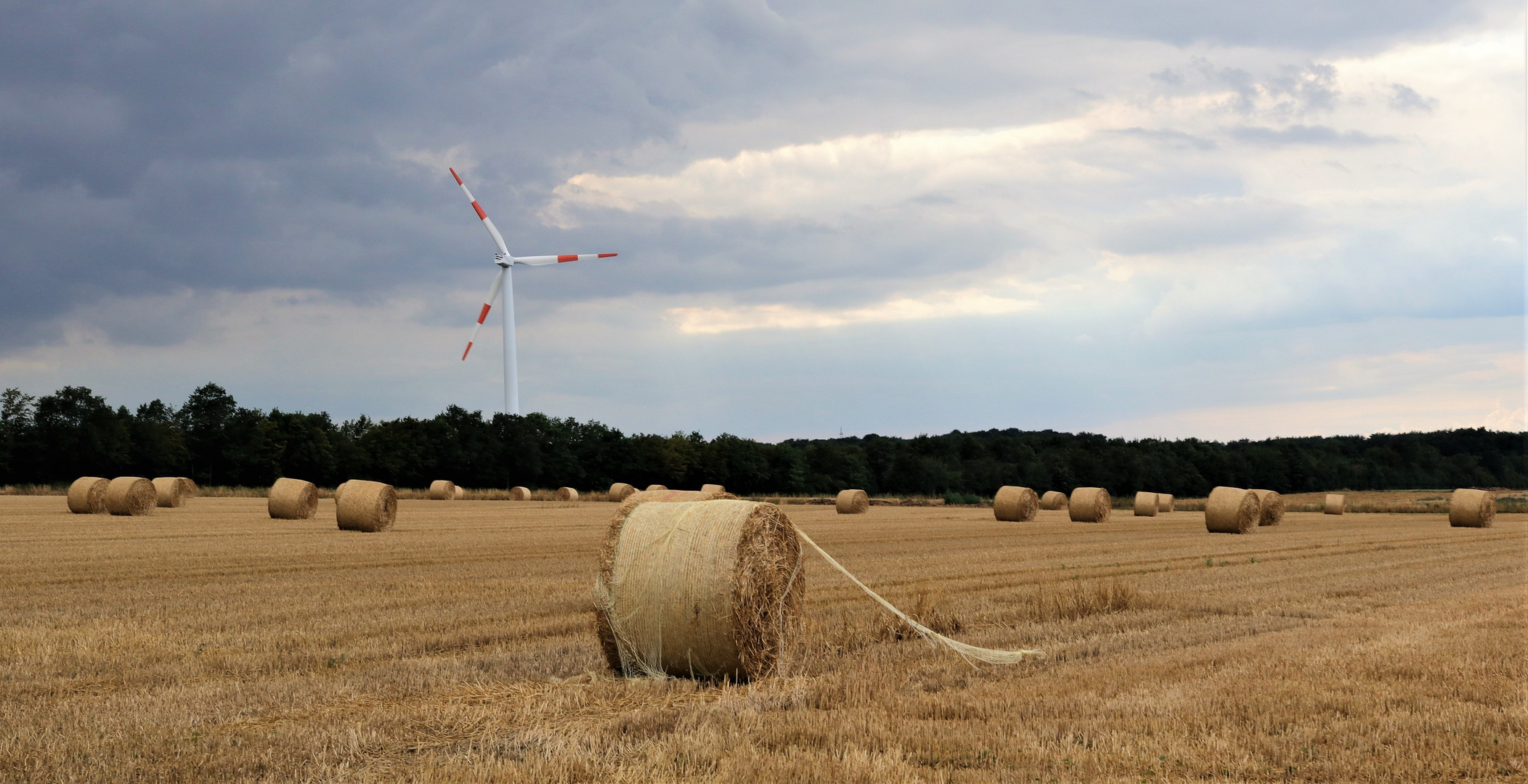 Nach der Ernte