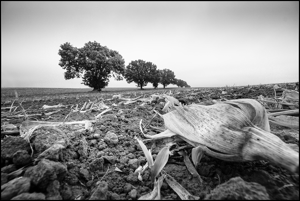 nach der Ernte