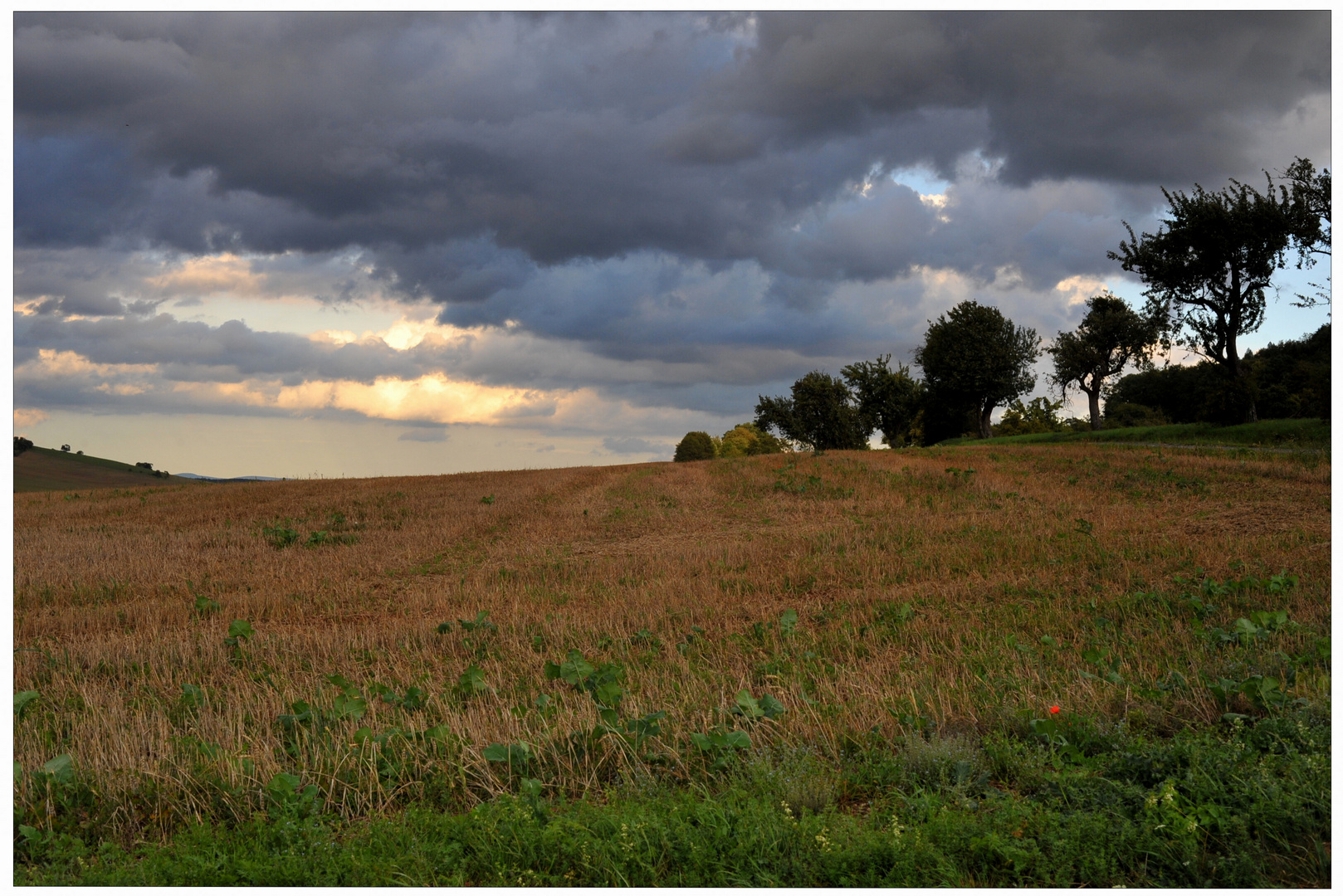 Nach der Ernte (después de la cosecha)