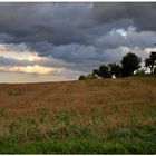 Nach der Ernte (después de la cosecha)