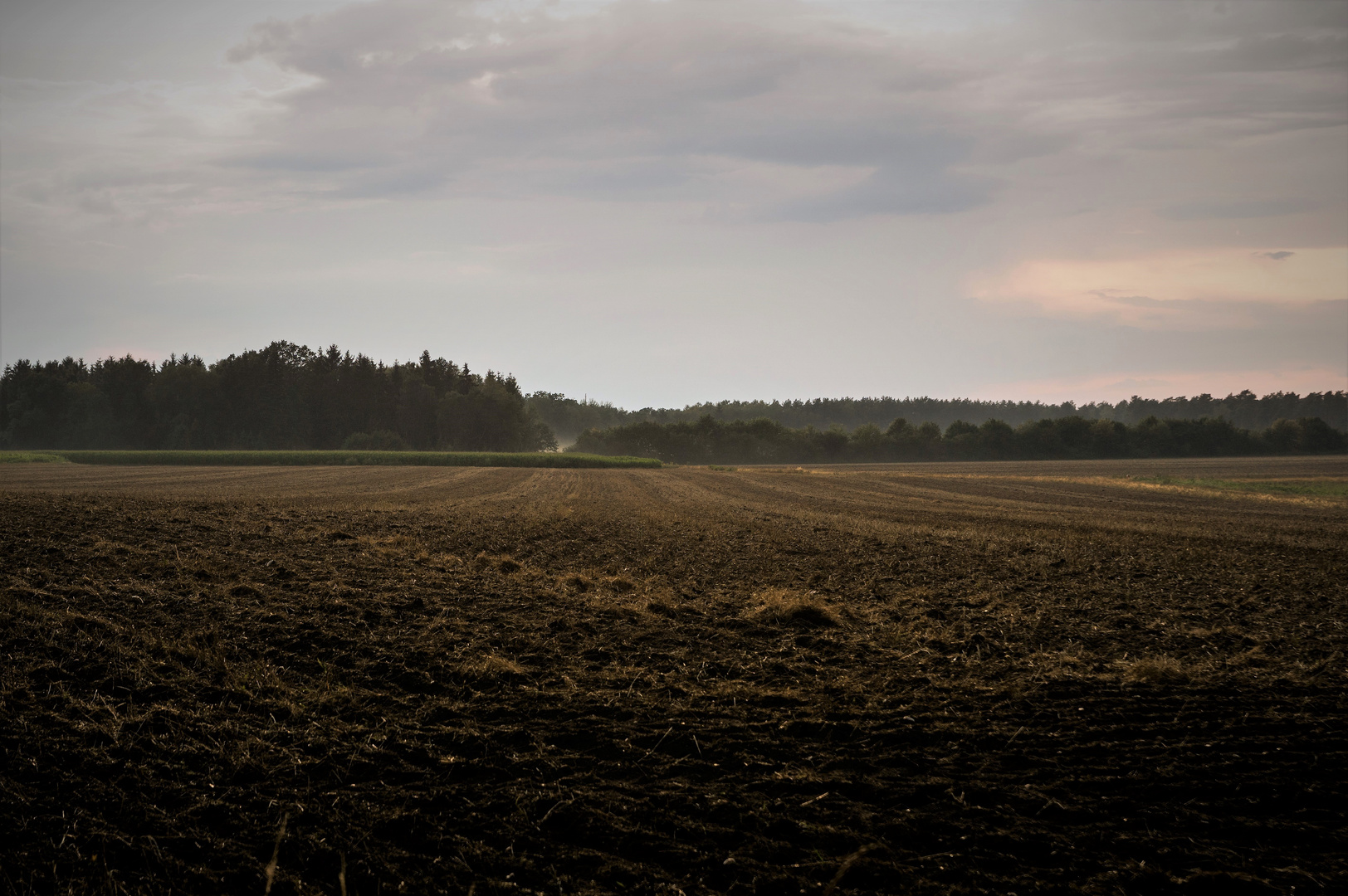 Nach der Ernte