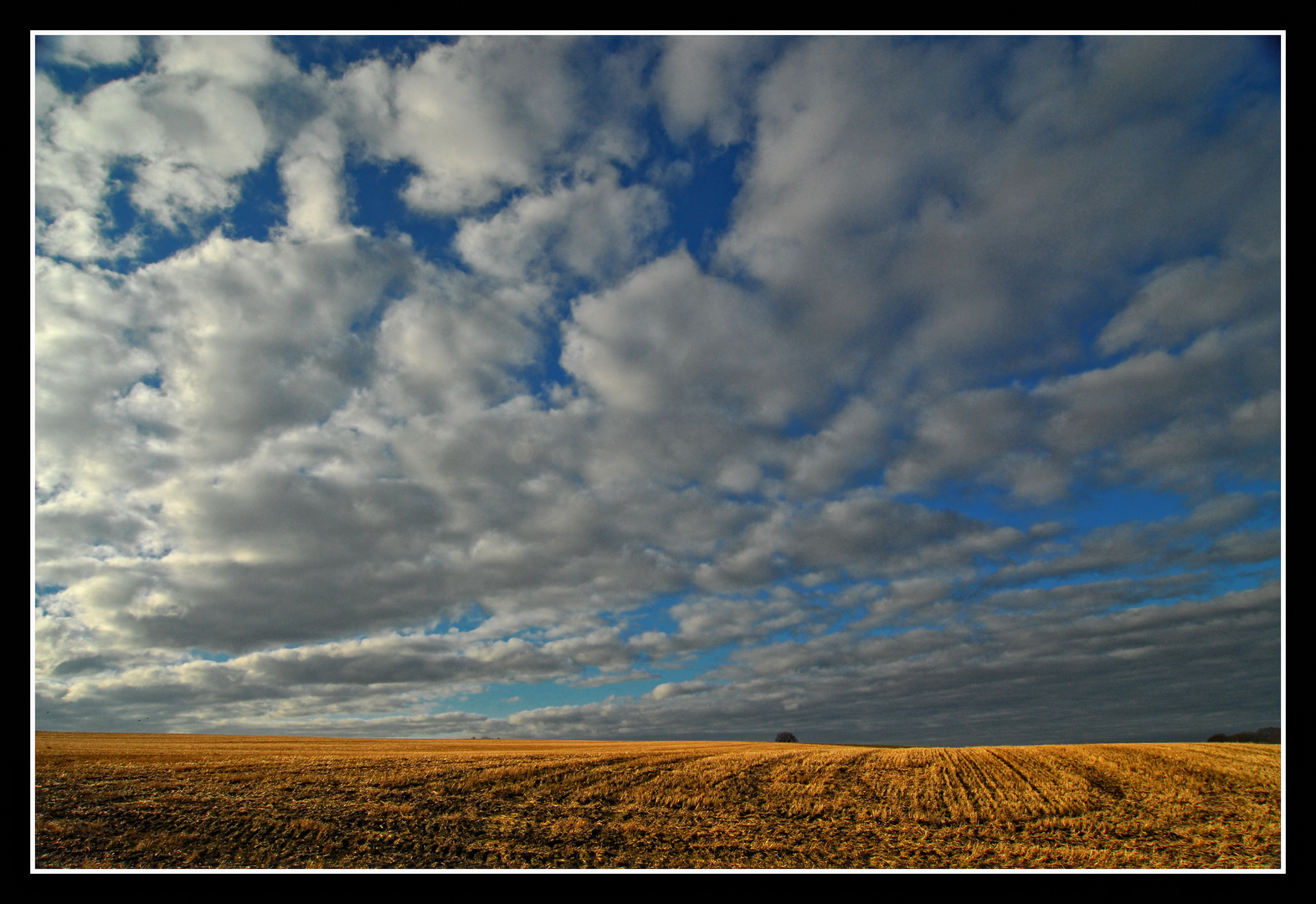 Nach der Ernte