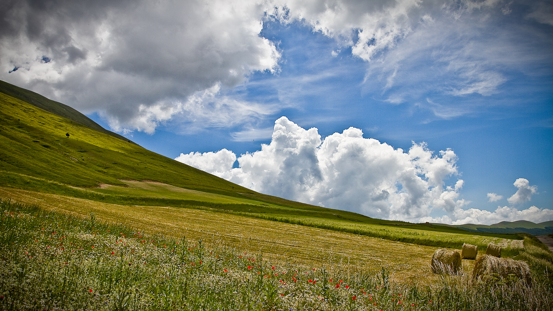 Nach der Ernte