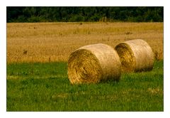 Nach der Ernte ist vor dem Winter