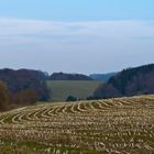 Nach der Ernte ist vor der Ernte