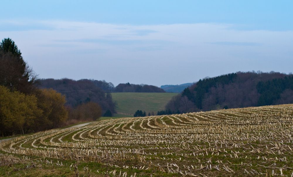 Nach der Ernte ist vor der Ernte