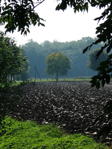 Nach der Ernte kommt der Pflug